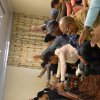 EHW Seminar - 30 August 2017